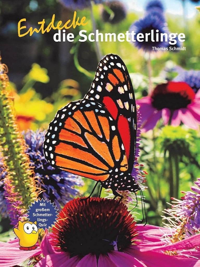 Entdecke die Schmetterlinge